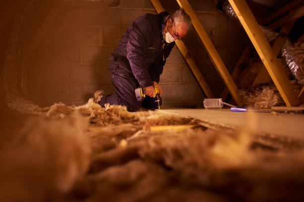 Best Insulation Air Sealing  in Montpelier, OH